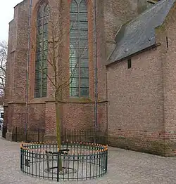 Beatrixboom, Noordwijk, geplant ter ere van de 50e verjaardag van Beatrix in 1988.