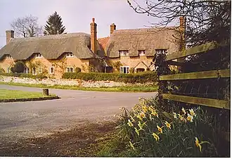 Cottages met rieten dak.