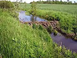 Beverdam in Litouwen