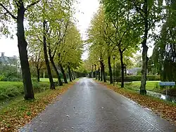 De straat Bellingeweer gezien vanaf Winsum