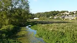 River Beane bij Molewood