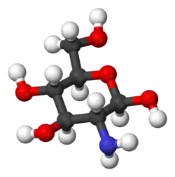 Molecuulmodel van β-D-glucosamine