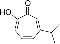 Structuurformule van hinokitiol