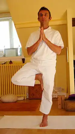 BhagaritasanaEénbenige Berg