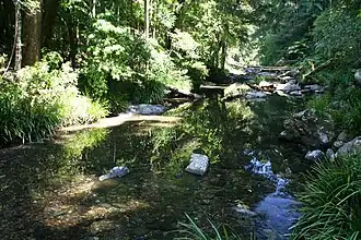 Nationaal park Bindarri