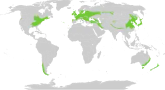 Gematigd loofbos of gemengd bos