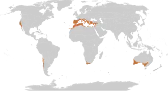 Mediterrane bossen, bosland en struwelen
