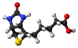 Molecuulmodel van biotine