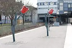 De tulpen op het perron...