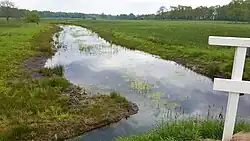 Nieuw aangelegd stroompje door het Besloten Veen