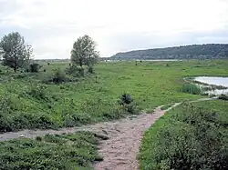Uiterwaard Blauwe Kamer