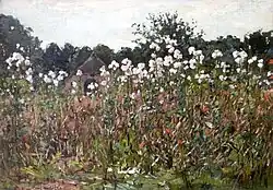 Uitgebloeide distels