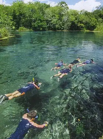 Snorkelen in Bonito (Serra da Bodoquena)