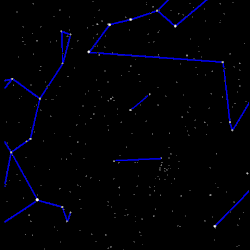 Animatie van Hoofdhaar en Ossenhoeder