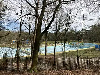 Zicht vanuit het bos (2025)