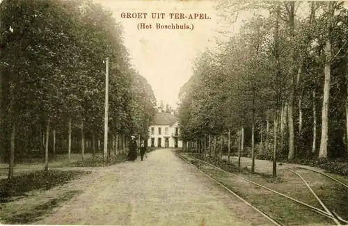 Tramsporen langs de Boslaan in de jaren 1910 met het Boschhuis op de achtergrond
