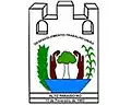 Wapen van Alto Paraíso