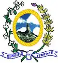 Wapen van Itapajé