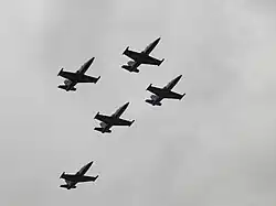 Breitling Jet Team in formatie