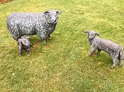 Ooi met lammeren (2004), Roden