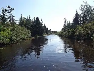 Hoge waterstand in de Little Barasway Brook