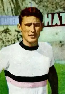 Bruno Giorgi