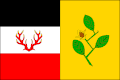 Vlag