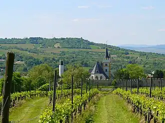 De kerk vanuit het zuidwesten