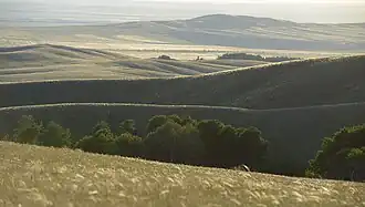 Steppenlandschap van deelgebied Boertinskaja Step.