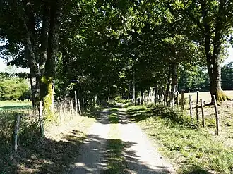 Wandelroute GR4 bij Busserolles tussen Chareyroux en Forêt