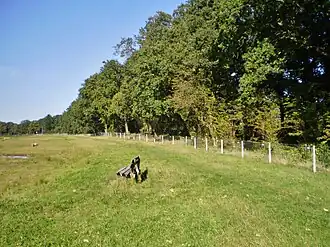 Koedijk met links Werk I