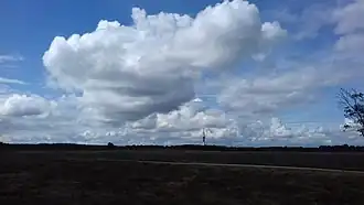 Bussummerheide richting tv-toren Hilversum