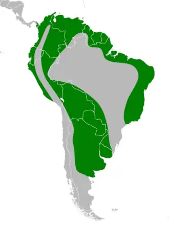 Amerikaanse mangrovereiger