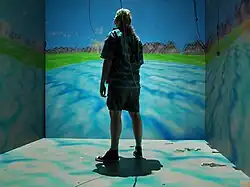 The Cave, Automatic Virtual Environment, University of Illinois, Chicago