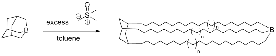 Levende polymerisatie van een ylide