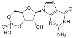 Structuurformule van cyclisch guanosinemonofosfaat