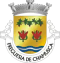 Vlag van Chamusca