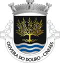 Vlag van Oliveira do Douro