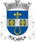 Vlag van Pocariça