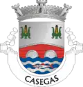 Vlag van Casegas