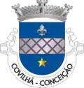 Vlag van Conceição