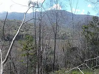 Het Cyclopsgebergte met Sentanimeer op de voorgrond.