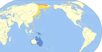 Siberische strandloper