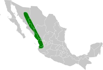 Douglas' kuifkwartel