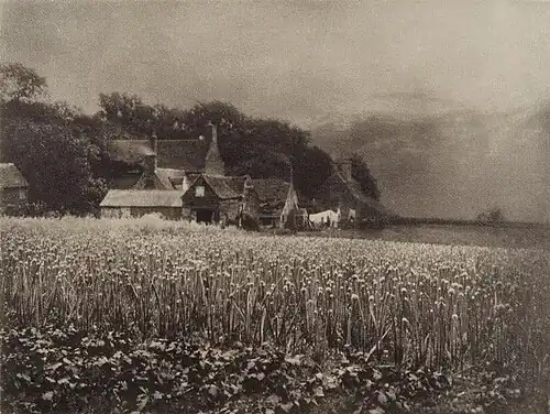 George Davison, The Onion Field, 1907