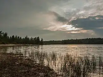 Het Canadameer in het Drents-Friese Wold (2012)
