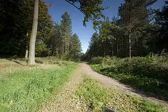Cannock Chase National Landscape