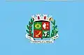 Vlag van Carmópolis de Minas