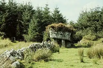 Carrickglass in 2003