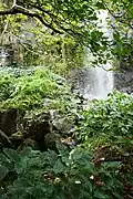 Waterval in Anse des Cascades